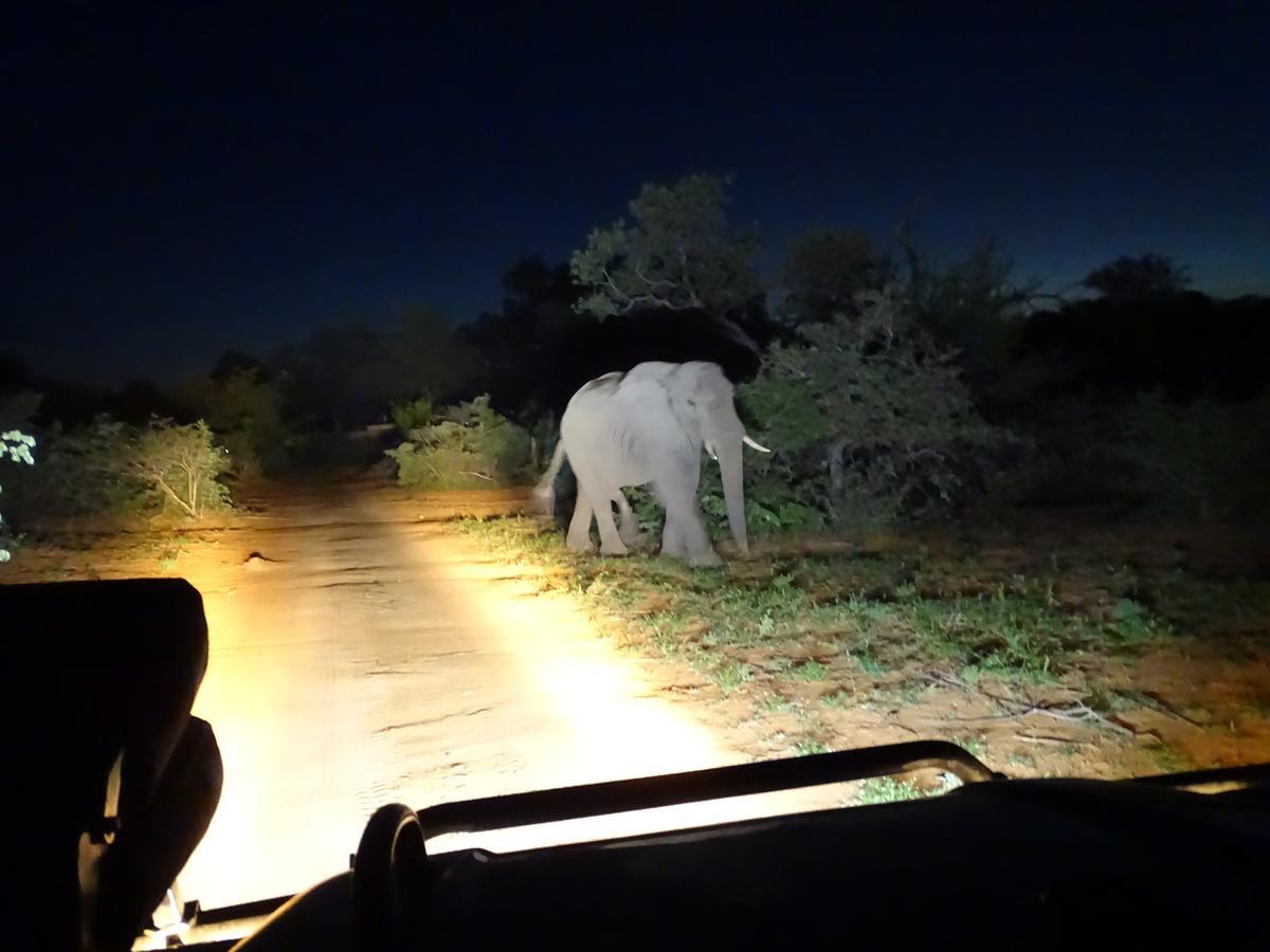 Ku Sungula Safari Lodge Balule Game Reserve Exterior photo