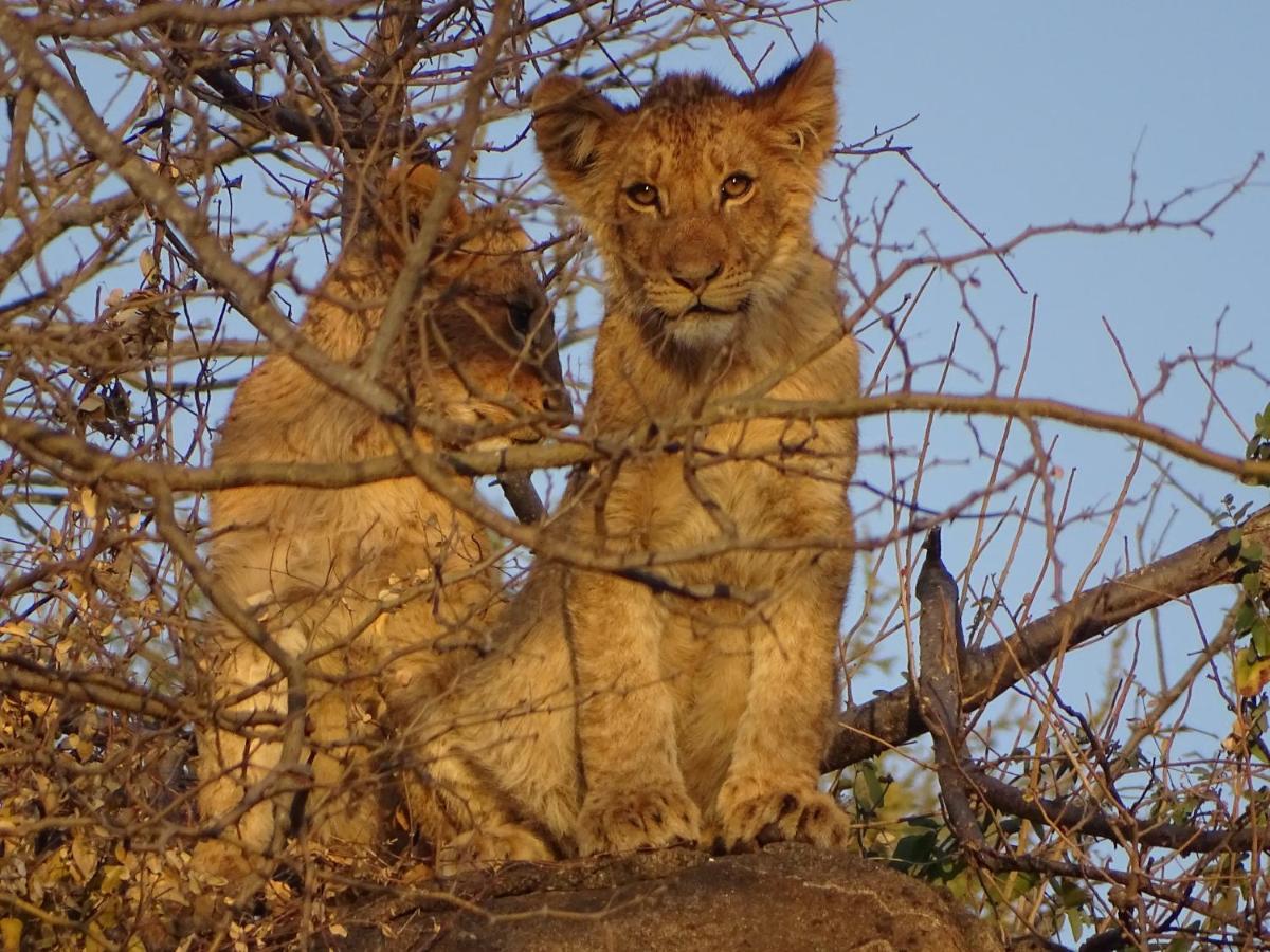 Ku Sungula Safari Lodge Balule Game Reserve Exterior photo